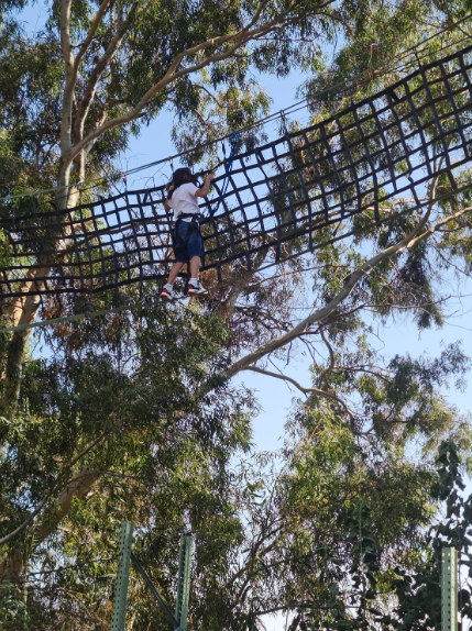 משימות טיפוס לגובה — תמונה 9