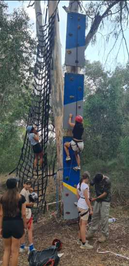 קירות טיפוס נוספים — תמונה 6