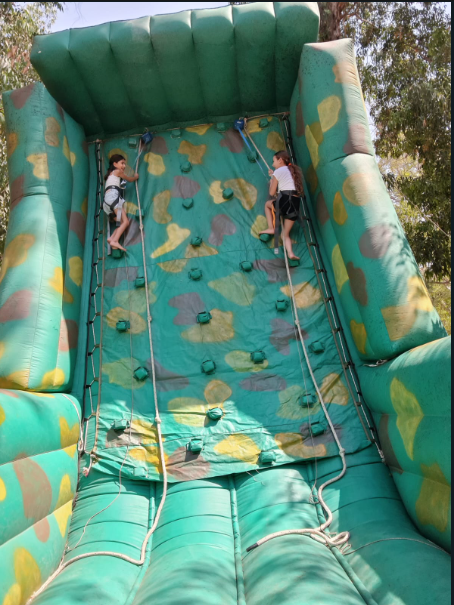 קירות טיפוס נוספים — תמונה 8